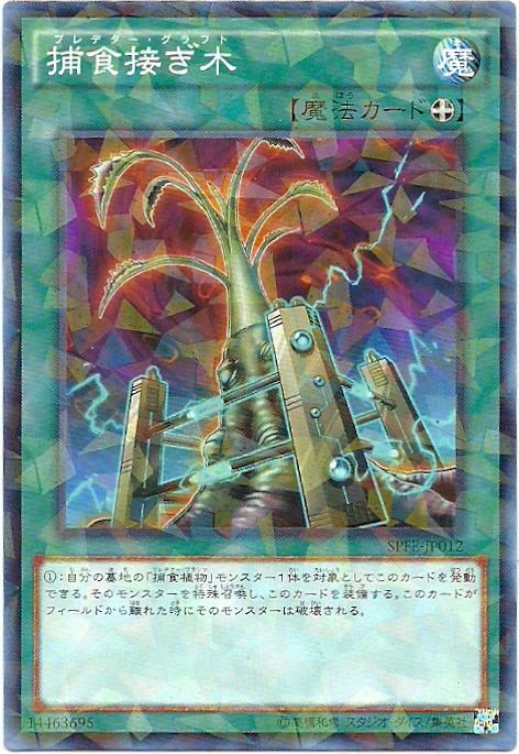 SPFE-JP012 捕食嫁接 (碎鑽普卡)