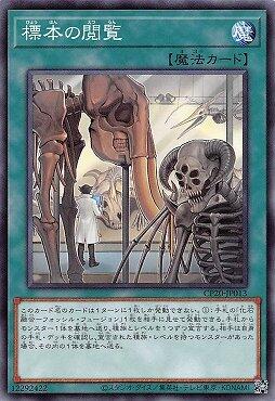 CP20-JP013 標本閱覽 (普卡)