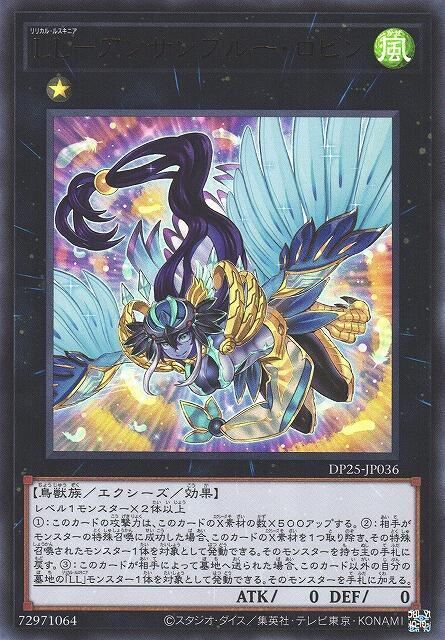 DP25-JP036 LL 集合知更 (金亮)