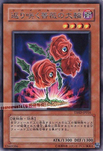 TSHD-JP016 再度盛開的大薔薇 日文銀字 608