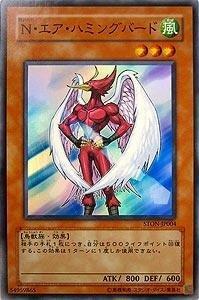 STON-JP004 N天空蜂鳥 亮面