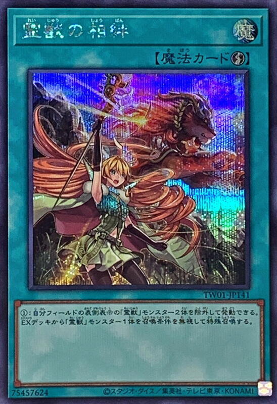 TW01-JP141 靈獸的相絆 (半鑽)