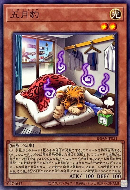 INFO-JP031 五月豹 (隱普)1205