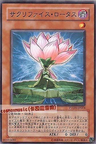 PTDN-JP004 納祭蓮花 日文普卡 (507)黑暗幻影PTDN