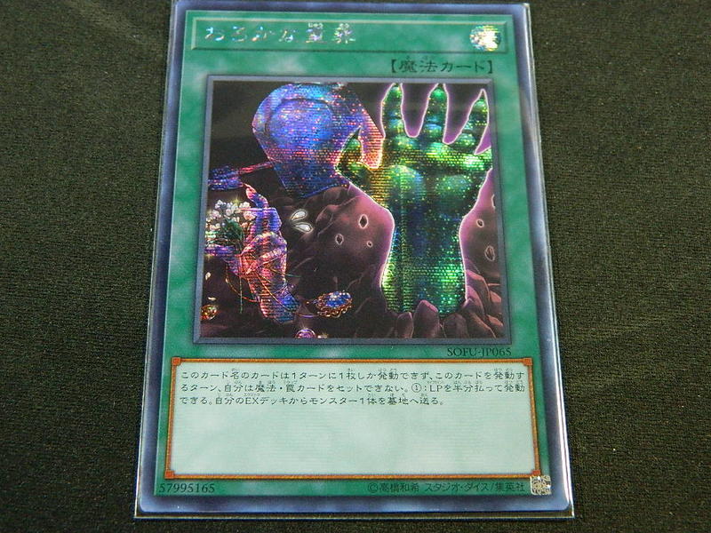 SOFU-JP065 愚蠢的重葬 SOFU-JP065 愚蠢的重葬 半鑽 1006