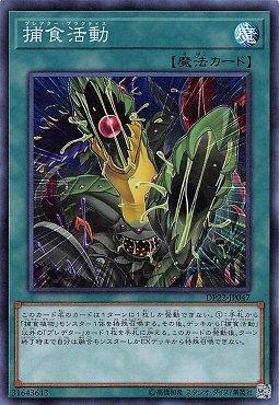 DP22-JP047 捕食活動 (亮面)