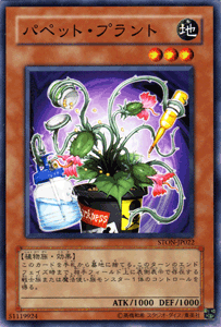 STON-JP022 傀儡植物 503普卡
