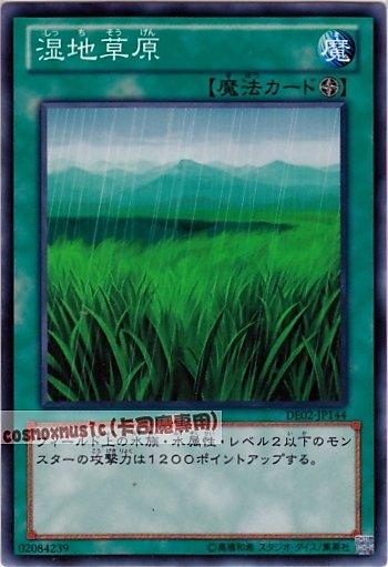 DE02-JP144 LODT-JP054 溼地草原 日文普卡